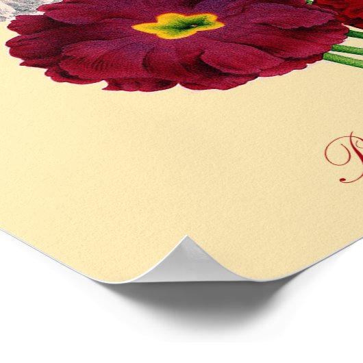  primrose afdrukken poster (Hoek)