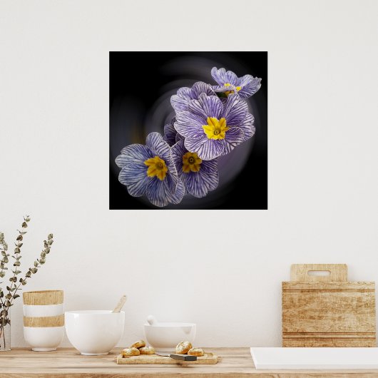 Primrose bloemen poster (Keuken)