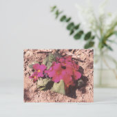 Primrose Briefkaart (Staand voorkant)