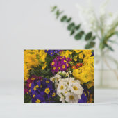 Primrose Briefkaart (Staand voorkant)