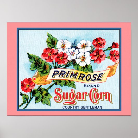 Primrose Flowers  Crate Label Art Poster (Voorkant)