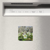 Primrose Fridge Magnet (Insitu (Vaatwasser))