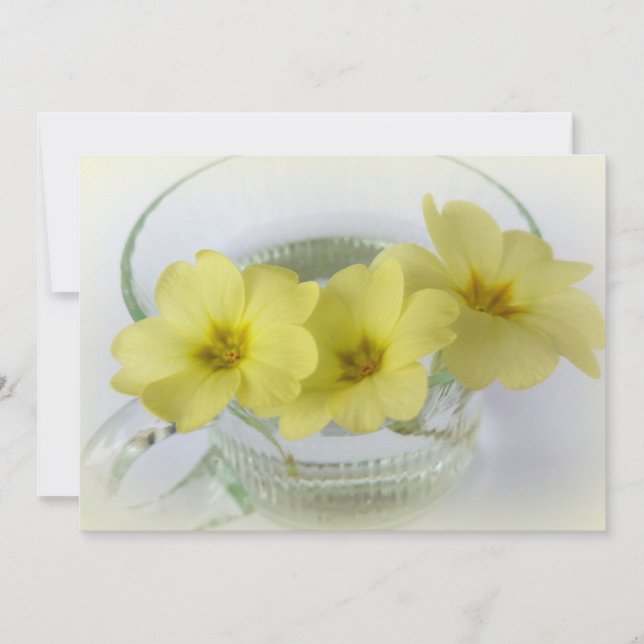 primrose in een kopje koffie (Voorkant)