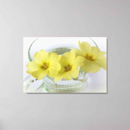 primrose in een kopje koffie canvas afdruk (Voorkant)