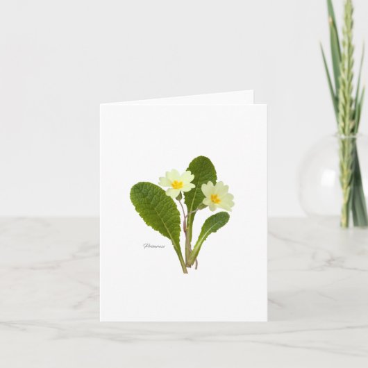 Primrose Kaart (Voorkant)