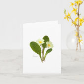 Primrose Kaart (Gele Bloem)