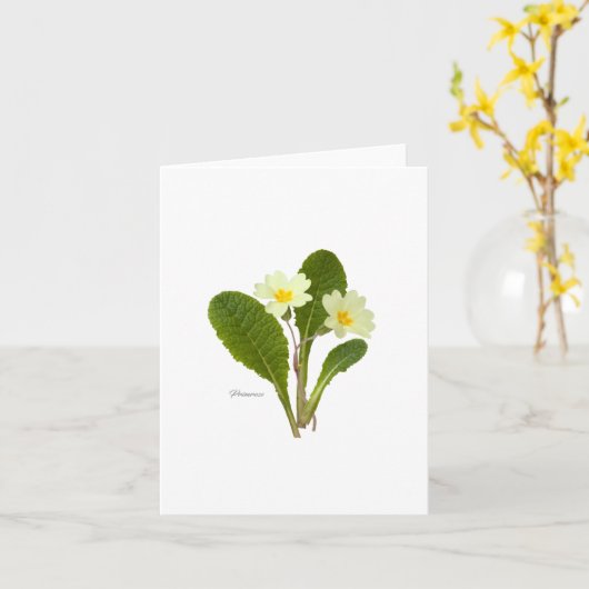 Primrose Kaart (Gele Bloem)