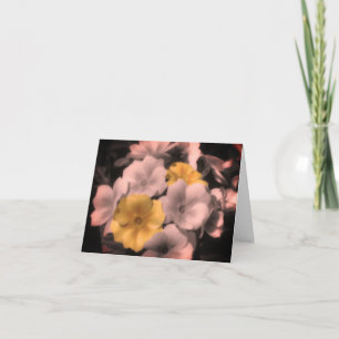 Primrose Kaart zwart-wit