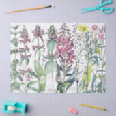 Primrose Katten Bloem Bloem Bloem Vloeibare bloeme Tissuepapier (Craft)