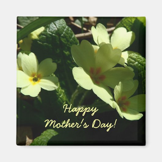 Primrose Moederdag magnet (Voorkant)