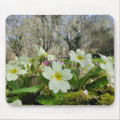 Primrose Mouse Mat Muismat (Voorkant)