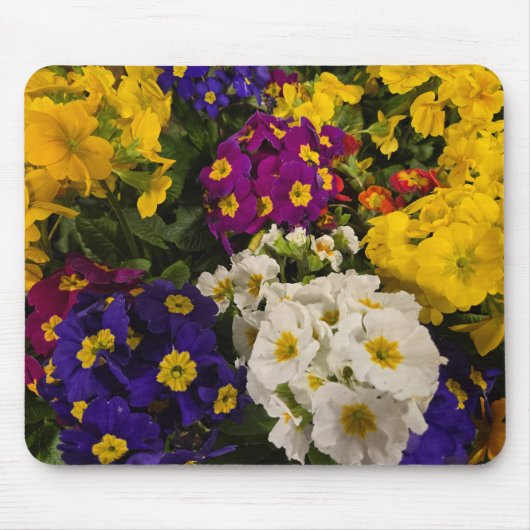 Primrose Muismat (Voorkant)