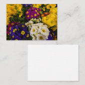 Primrose Notitiekaartje (Voorkant / Achterkant)