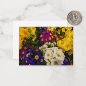 Primrose Notitiekaartje (Voorkant / Achterkant in situ)