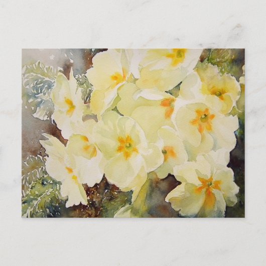 Primrose Posy Briefkaart (Voorkant)