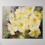 Primrose Posy Poster (Voorkant)