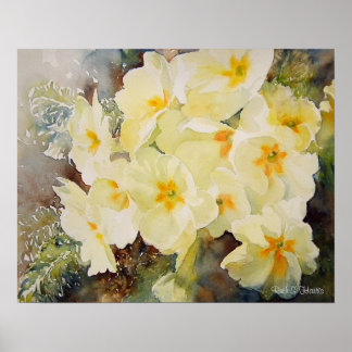Primrose Posy Poster