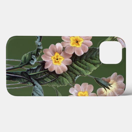 Primrose (Primula Aucalis) Case-Mate iPhone Case (Achterkant (horizontaal))