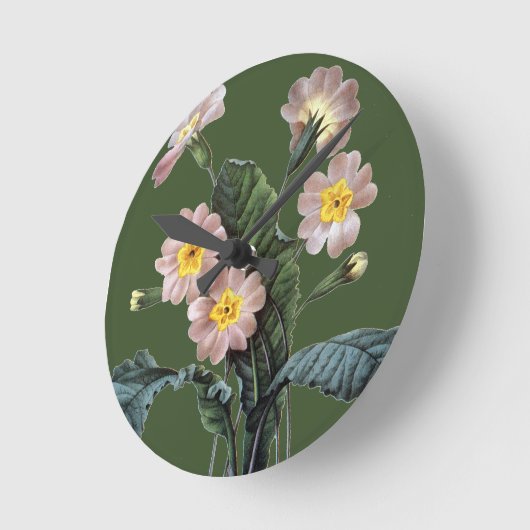 Primrose (Primula Aucalis) Ronde Klok (Hoek)