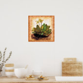  Primrose Primula Flower Poster (Keuken)