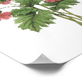 primrose (Primula sinensis) van Redouté Poster (Hoek)