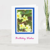Primroses Birthday Card Kaart (Voorkant)