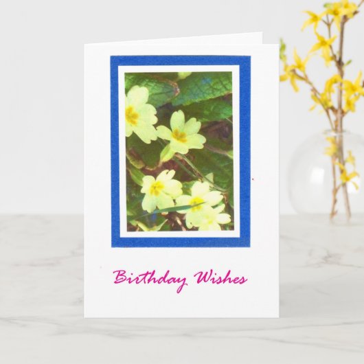 Primroses Birthday Card Kaart (Gele Bloem)