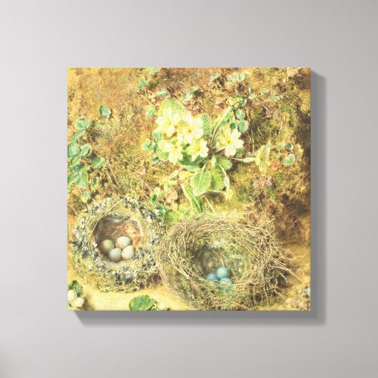 primroses en vogelnesten canvas afdruk (Voorkant)