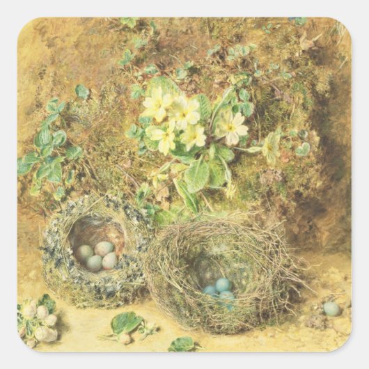 primroses en vogelnesten vierkante sticker (Voorkant)