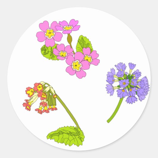 Primroses Ronde Sticker (Voorkant)