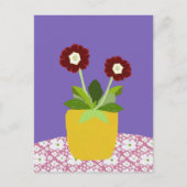 Primula aricula-Briefkaart Briefkaart (Voorkant)