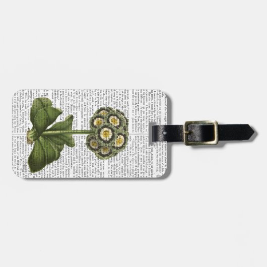 Primula Auricula Blue Bagagelabel (Voorkant horizontaal)