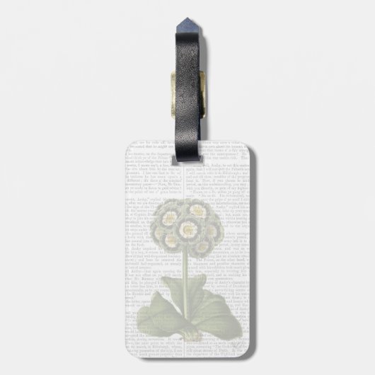 Primula Auricula Blue Bagagelabel (Achterkant verticaal)