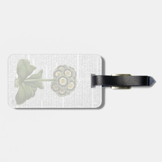 Primula Auricula Blue Bagagelabel (Achterkant horizontaal)