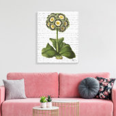 Primula Auricula Blue Canvas Afdruk (Insitu (Woonkamer))