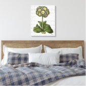 Primula Auricula Blue Canvas Afdruk (Insitu (Slaapkamer))