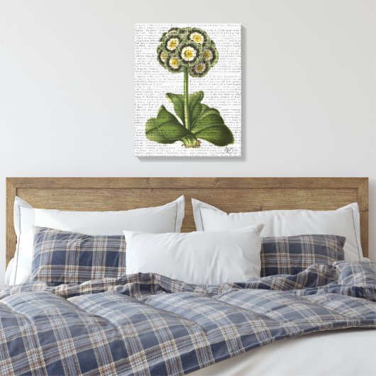 Primula Auricula Blue Canvas Afdruk (Insitu (Slaapkamer))