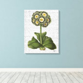 Primula Auricula Blue Canvas Afdruk (Insitu (Houten vloer))