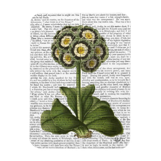 Primula Auricula Blue Magneet (Verticaal)