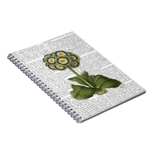 Primula Auricula Blue Notitieboek (Rechterzijde)