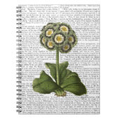 Primula Auricula Blue Notitieboek (Voorkant)