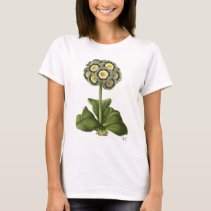 Primula Auricula Blue T-shirt