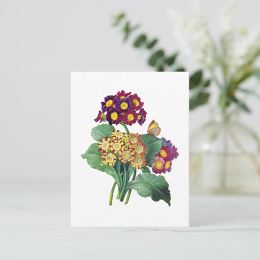 Primula Auricula - Cowslip - Pierre Joseph Redoute Briefkaart (Staand voorkant)