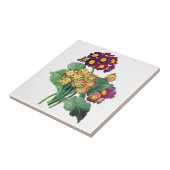 Primula Auricula - Cowslip - Pierre Joseph Redoute Tegeltje (Zijkant)