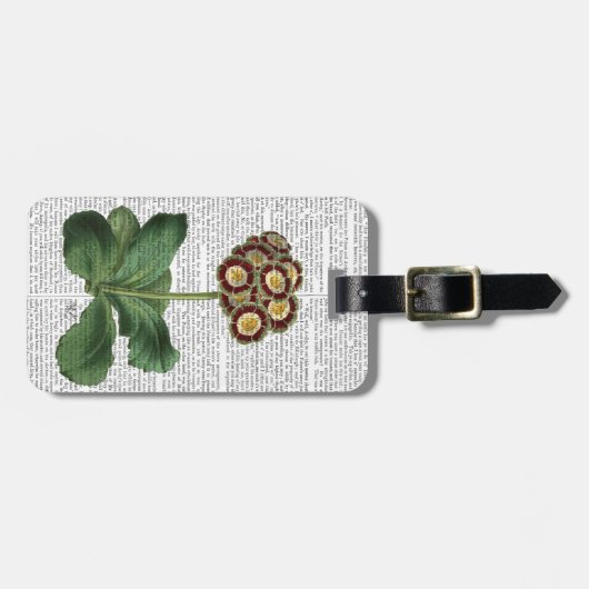 Primula Auricula Red Bagagelabel (Voorkant horizontaal)