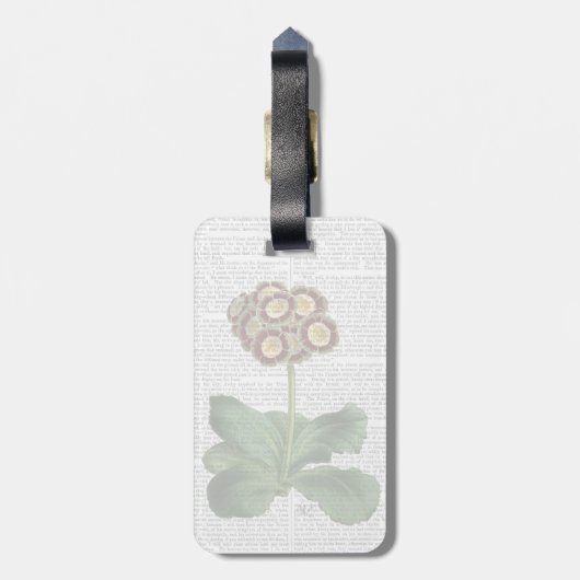 Primula Auricula Red Bagagelabel (Achterkant verticaal)