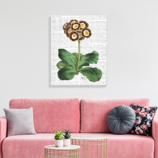 Primula Auricula Red Canvas Afdruk (Insitu (Woonkamer))