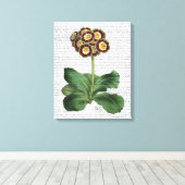 Primula Auricula Red Canvas Afdruk (Insitu (Houten vloer))