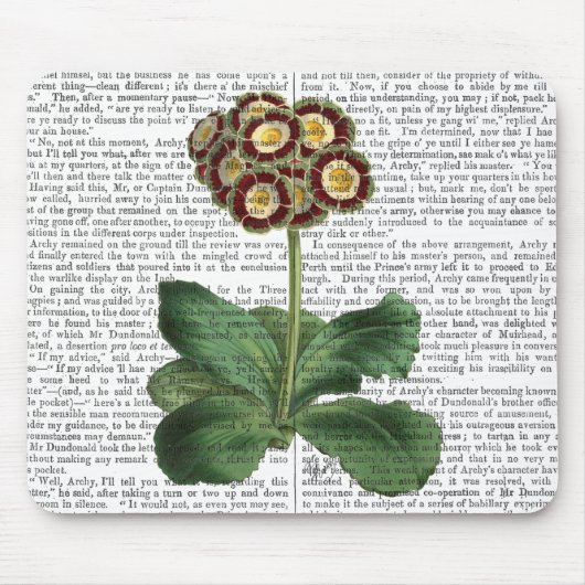 Primula Auricula Red Muismat (Voorkant)