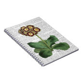 Primula Auricula Red Notitieboek (Rechterzijde)